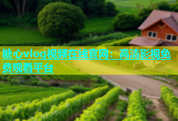糖心vlog视频在线官网：高清影视免费观看平台