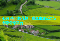 心月Vlog棉花糖：甜蜜生活记录与创意分享平台