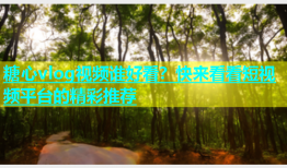 糖心vlog视频谁好看？快来看看短视频平台的精彩推荐