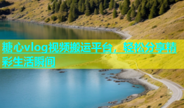 糖心vlog视频搬运平台，轻松分享精彩生活瞬间