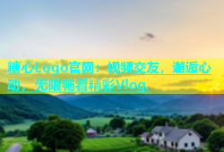 糖心Logo官网：视频交友，邂逅心动，无限畅看精彩Vlog.