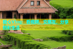 糖心Vlog：看视频、交朋友，分享精彩生活