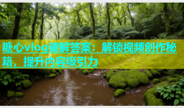 糖心vlog破解答案：解锁视频创作秘籍，提升内容吸引力