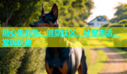 糖心米菲兔：创意社区，分享生活，发现新趣