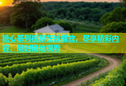 糖心系列视频在线播放，尽享精彩内容，随时随地观看