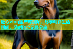 糖心vlog国产库视频，尽享精彩生活瞬间，随时随地记录分享