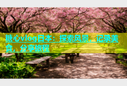 糖心vlog日本：探索风景，记录美食，分享旅程