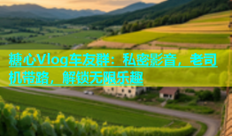 糖心Vlog车友群：私密影音，老司机带路，解锁无限乐趣