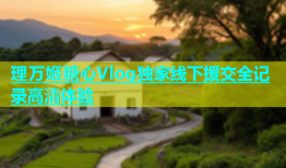 理万姬糖心Vlog独家线下援交全记录高清体验
