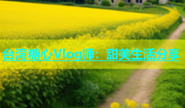 台湾糖心Vlog师：甜美生活分享