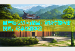 国产糖心Vlog精品：解锁你的私密视界，尽享丝滑体验