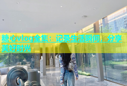 糖心vlog全集：记录生活瞬间，分享美好时光