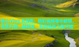 糖心Vlog 资源库：精彩视频等你解锁，诱惑内容一触即发，即刻畅享无限可能