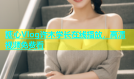 糖心Vlog许木学长在线播放，高清视频免费看
