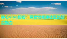 糖心vlog粉粉：探索短视频社区的创意魅力