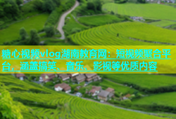 糖心视频vlog湖南教育网：短视频聚合平台，涵盖搞笑、音乐、影视等优质内容