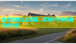 全面赋能企业管理，星辰ERP助力数字化转型