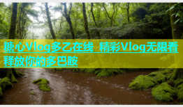 糖心Vlog多乙在线 精彩Vlog无限看 释放你的多巴胺