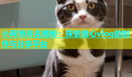 小阿悄真名揭秘：探索糖心vlog的创作与分享平台