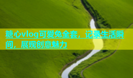糖心vlog可爱兔全套，记录生活瞬间，展现创意魅力