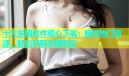 十大禁用软件糖心下载：畅享热门资源，轻松获取无限精彩