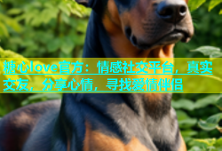 糖心love官方：情感社交平台，真实交友，分享心情，寻找爱情伴侣