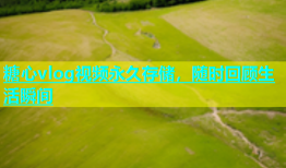 糖心vlog视频永久存储，随时回顾生活瞬间