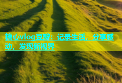 糖心vlog豆瓣：记录生活，分享感动，发现新视界
