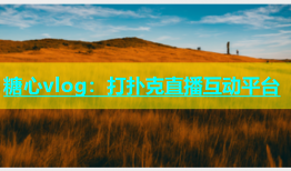 糖心vlog：打扑克直播互动平台