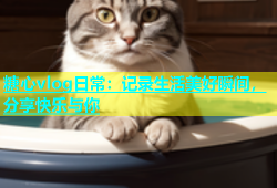 糖心vlog日常：记录生活美好瞬间，分享快乐与你