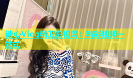 糖心Vlog精卫影视网：精彩视频一站式