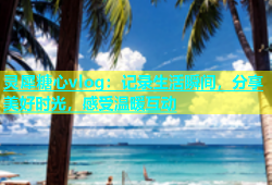 灵犀糖心vlog：记录生活瞬间，分享美好时光，感受温暖互动