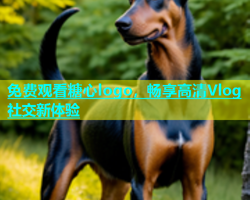 免费观看糖心logo，畅享高清Vlog社交新体验