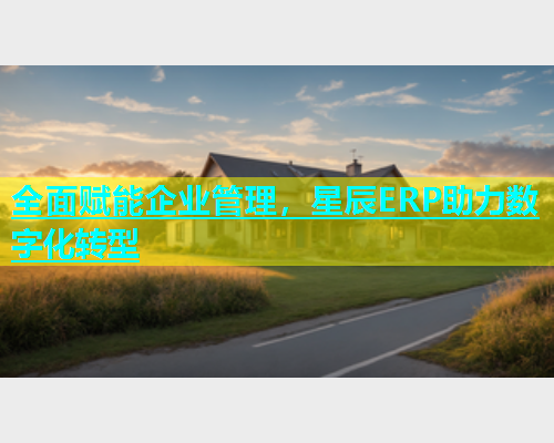全面赋能企业管理，星辰ERP助力数字化转型