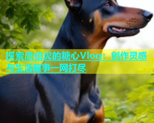 探索唐伯虎的糖心Vlog：创作灵感与生活趣事一网打尽