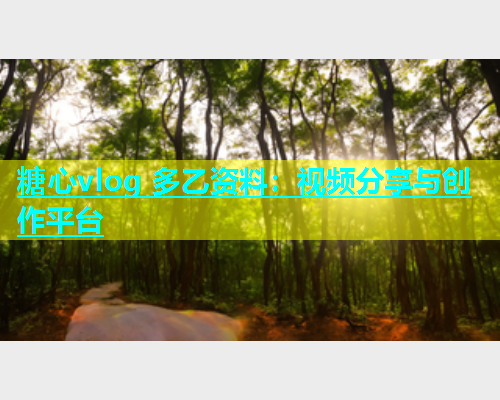 糖心vlog 多乙资料：视频分享与创作平台