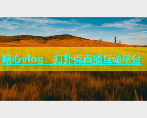 糖心vlog：打扑克直播互动平台