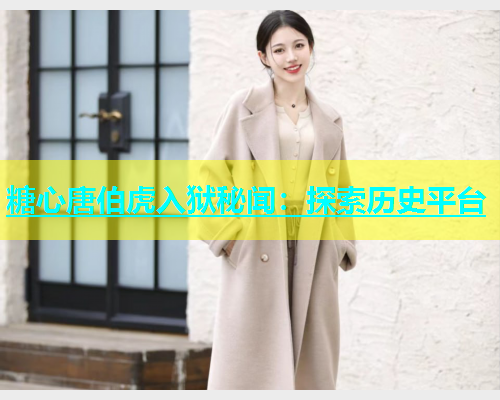 糖心唐伯虎入狱秘闻：探索历史平台
