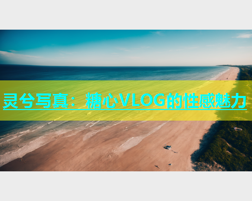 灵兮写真：糖心VLOG的性感魅力