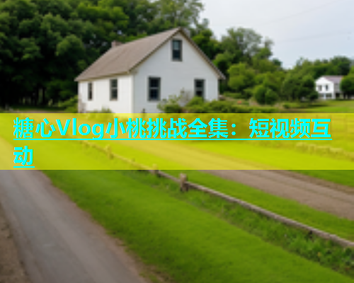 糖心Vlog小桃挑战全集：短视频互动