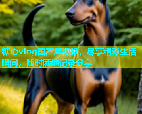 糖心vlog国产库视频，尽享精彩生活瞬间，随时随地记录分享