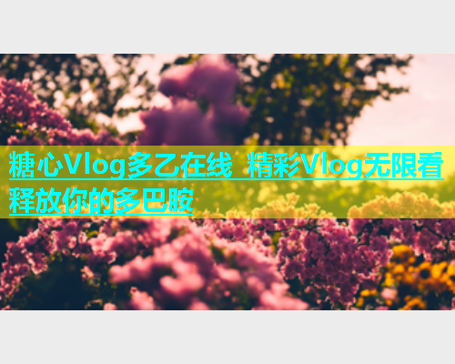 糖心Vlog多乙在线 精彩Vlog无限看 释放你的多巴胺