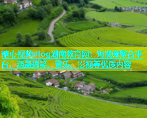 糖心视频vlog湖南教育网：短视频聚合平台，涵盖搞笑、音乐、影视等优质内容