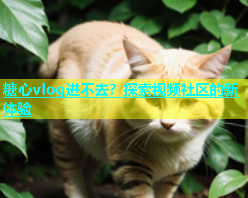 糖心vlog进不去？探索视频社区的新体验